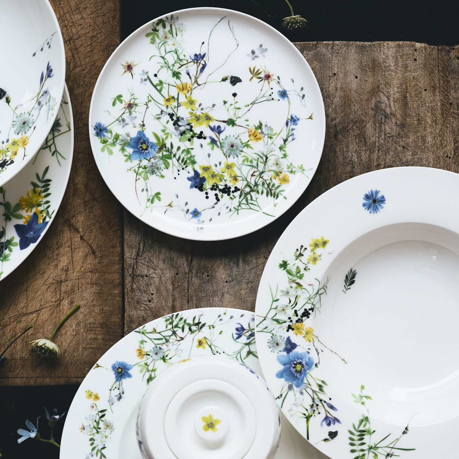 Rosenthal dinnerware hotsell